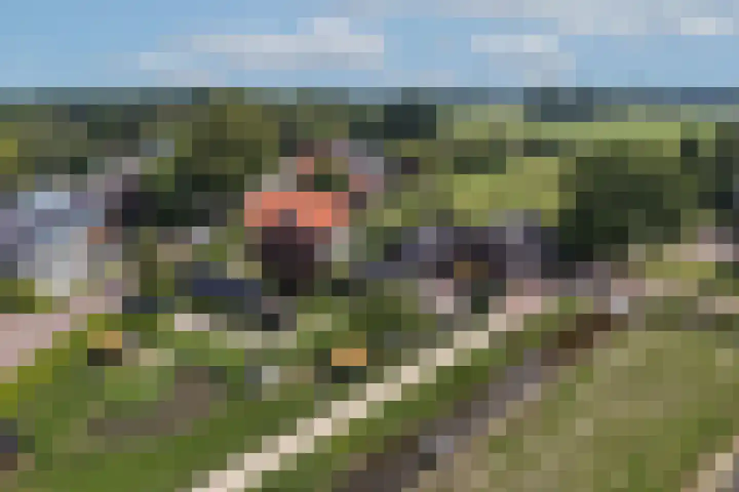 Paasdijk 1 Losser thumbnail 45