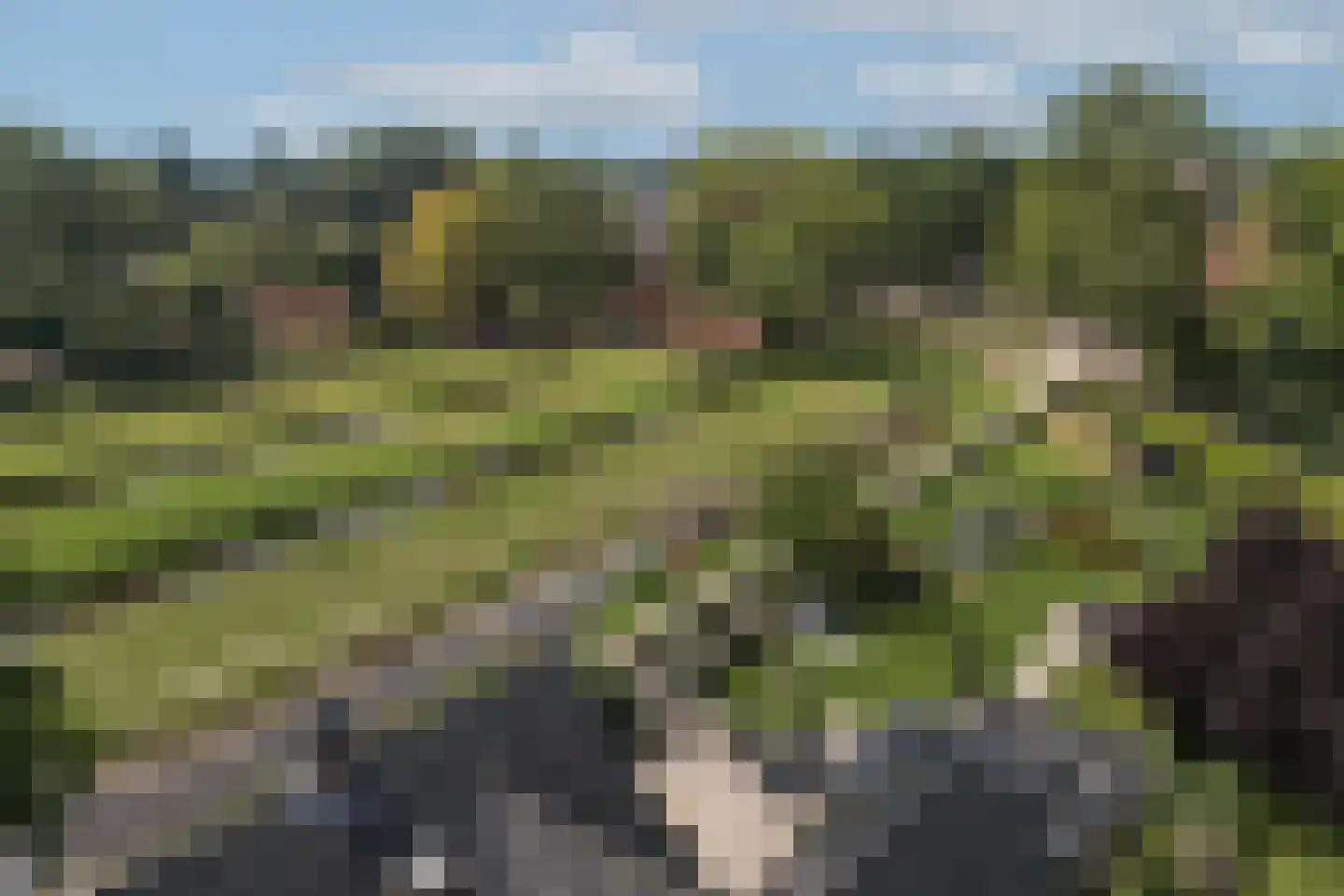 Paasdijk 1 Losser thumbnail 46