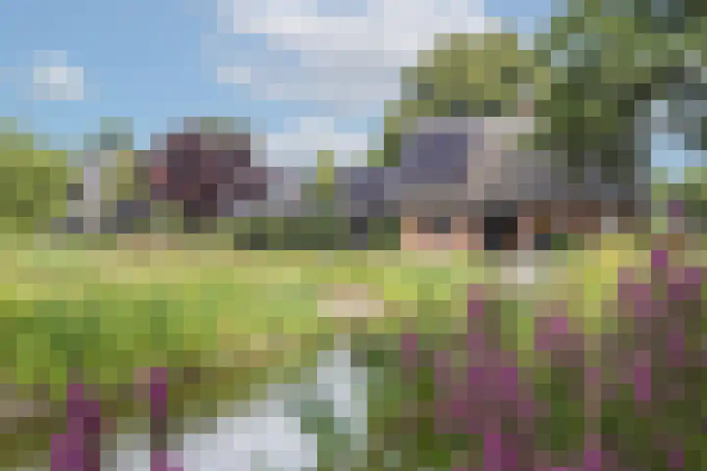Paasdijk 1 Losser thumbnail 5