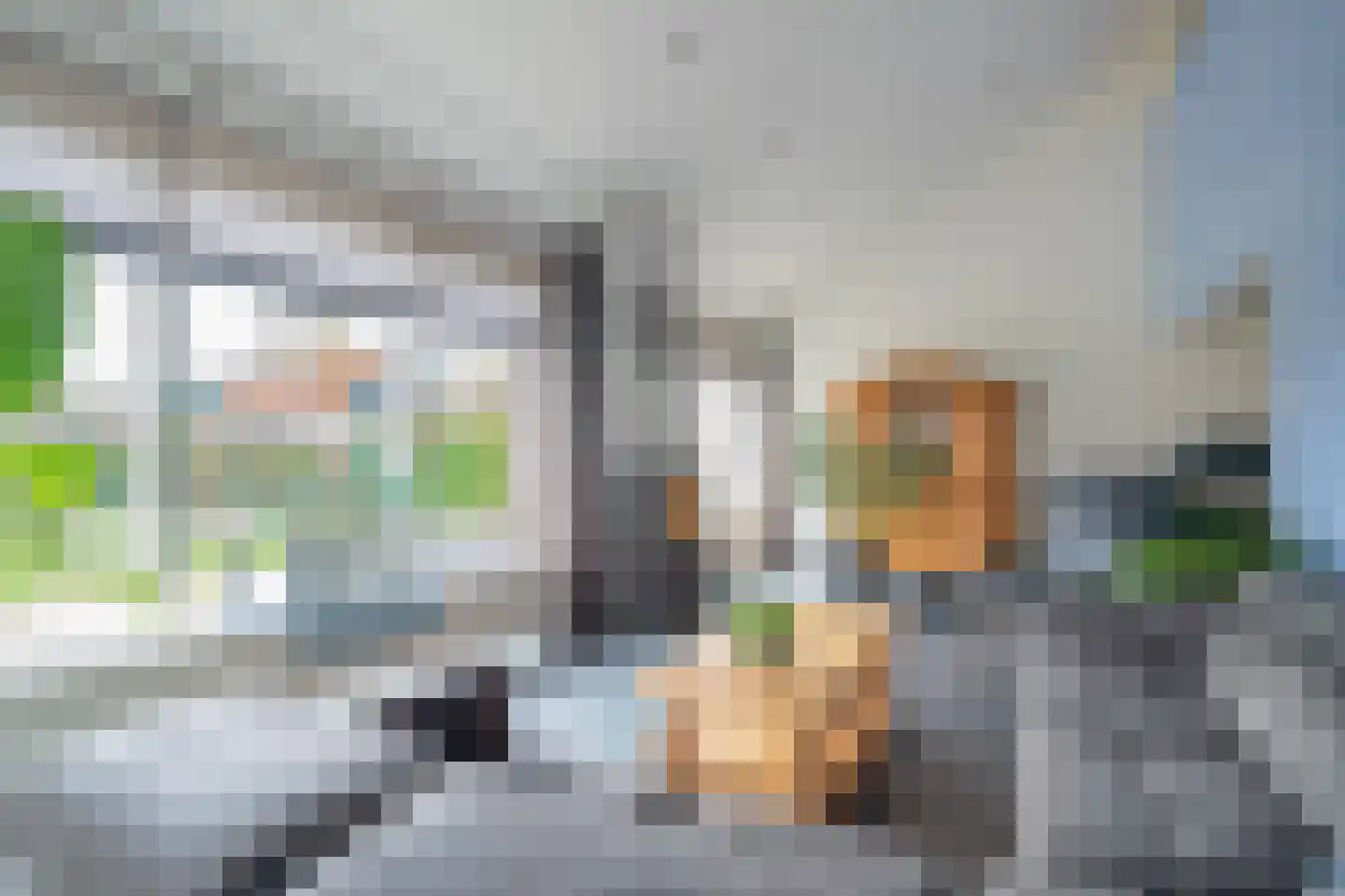 Paasdijkweg 1 e Poortvliet thumbnail 11