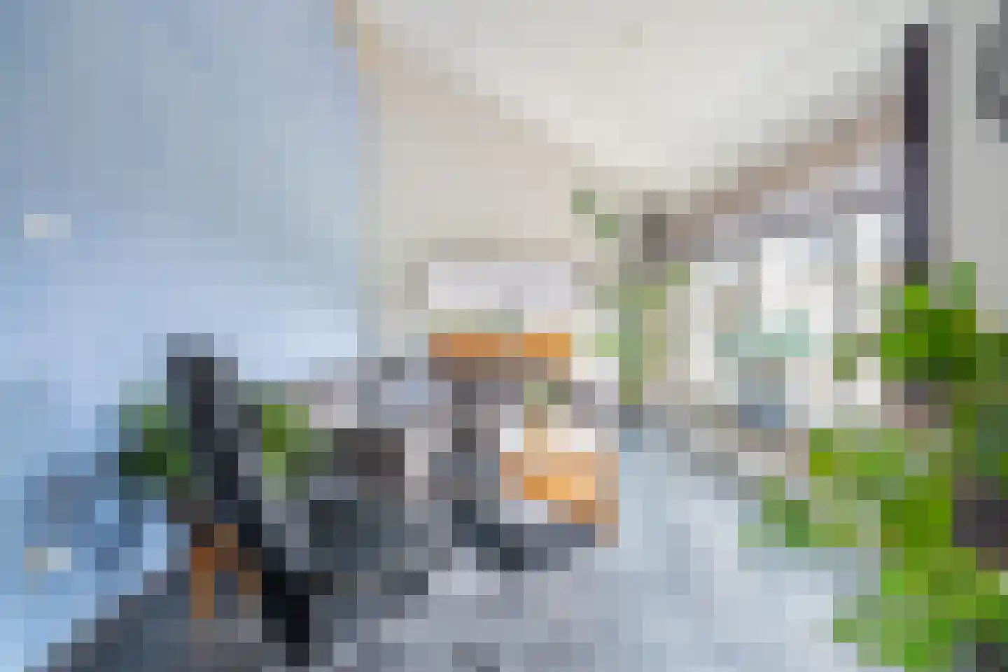 Paasdijkweg 1 e Poortvliet thumbnail 12
