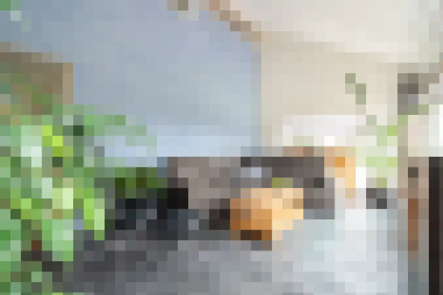 Paasdijkweg 1 e Poortvliet thumbnail 13