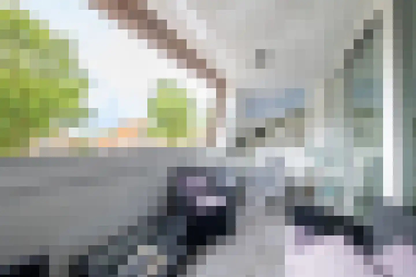 Paasduinweg 1 006 Buren thumbnail 14