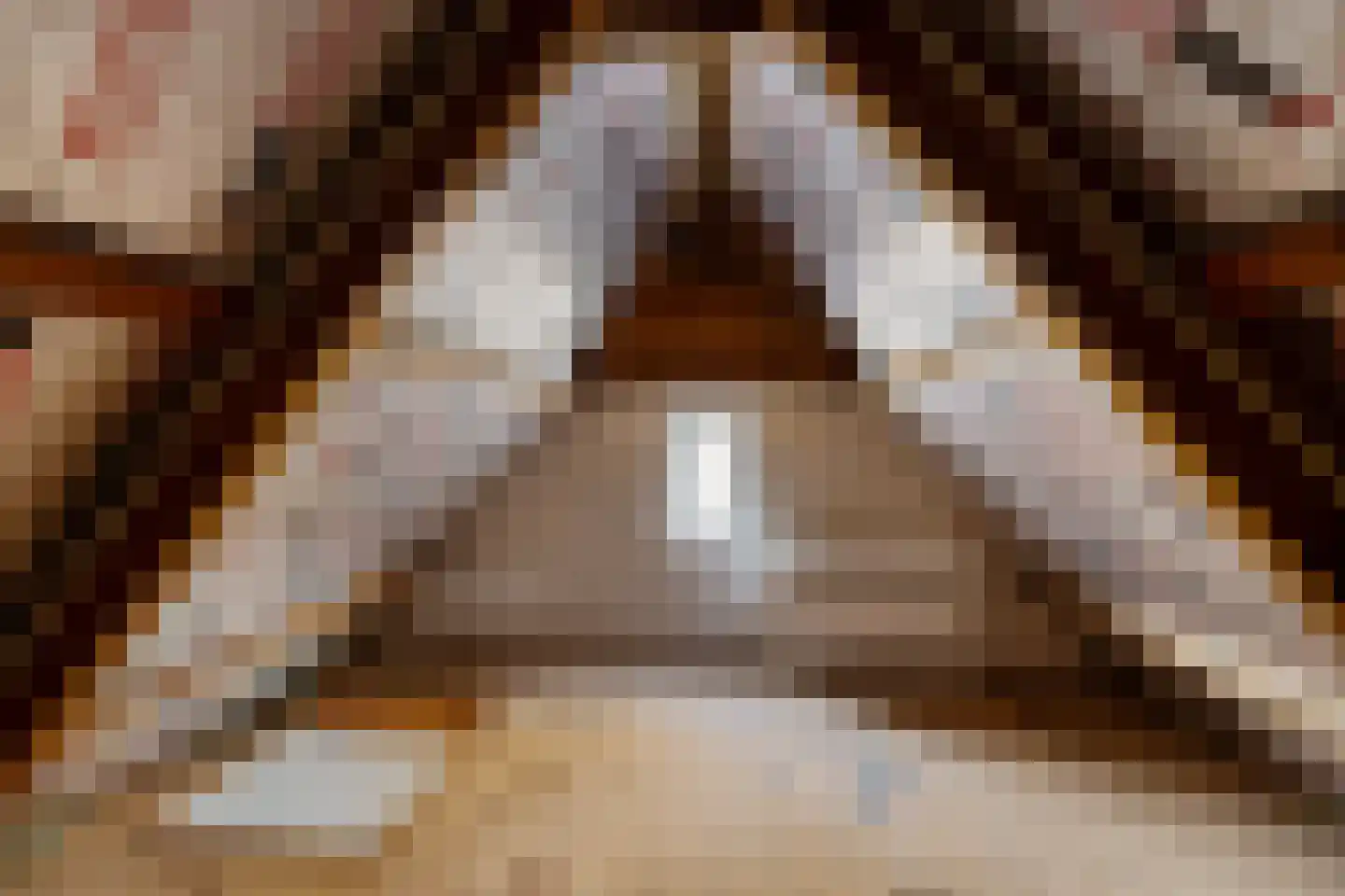 Paasduinweg 6 Buren thumbnail 16