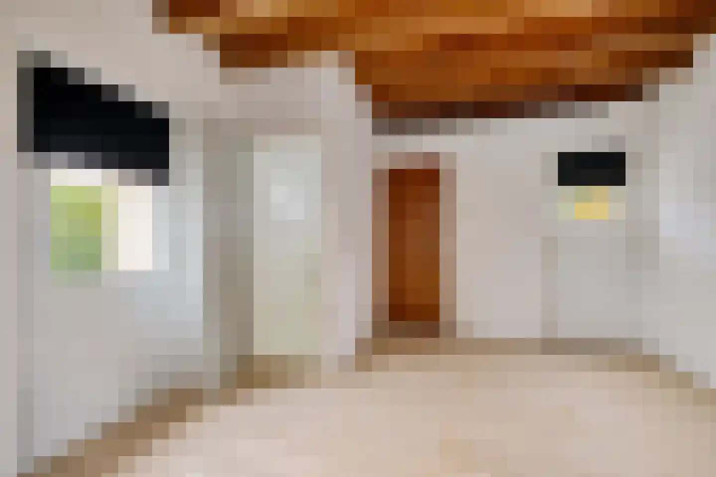 Paasduinweg 6 Buren thumbnail 17
