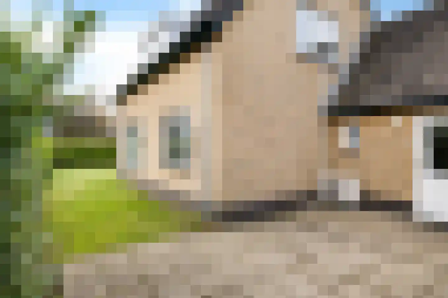 Paasduinweg 6 Buren thumbnail 19