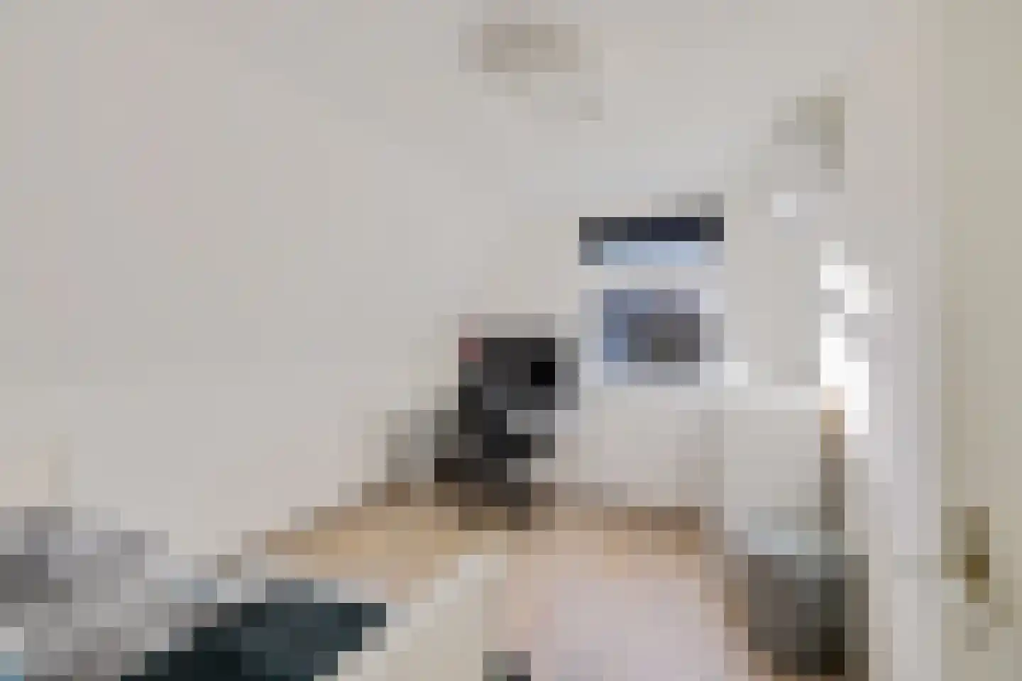 Paasduinweg 6 Buren thumbnail 23