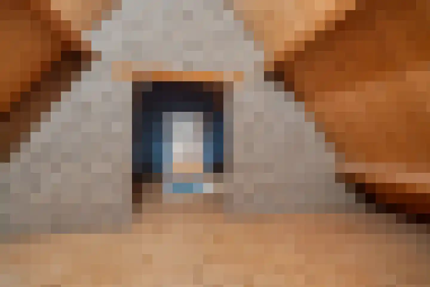 Paasduinweg 6 Buren thumbnail 28