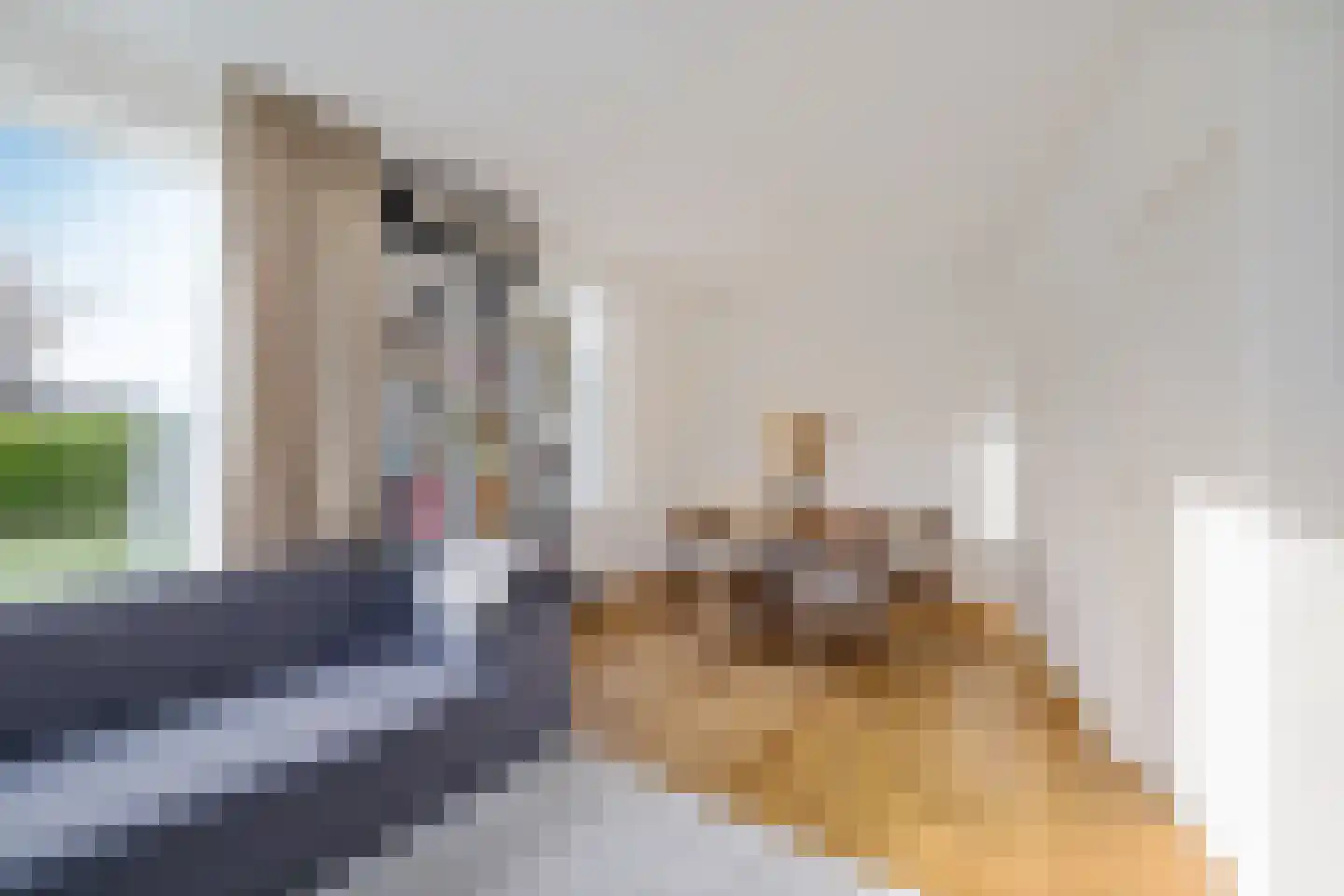 Paasduinweg 6 Buren thumbnail 7