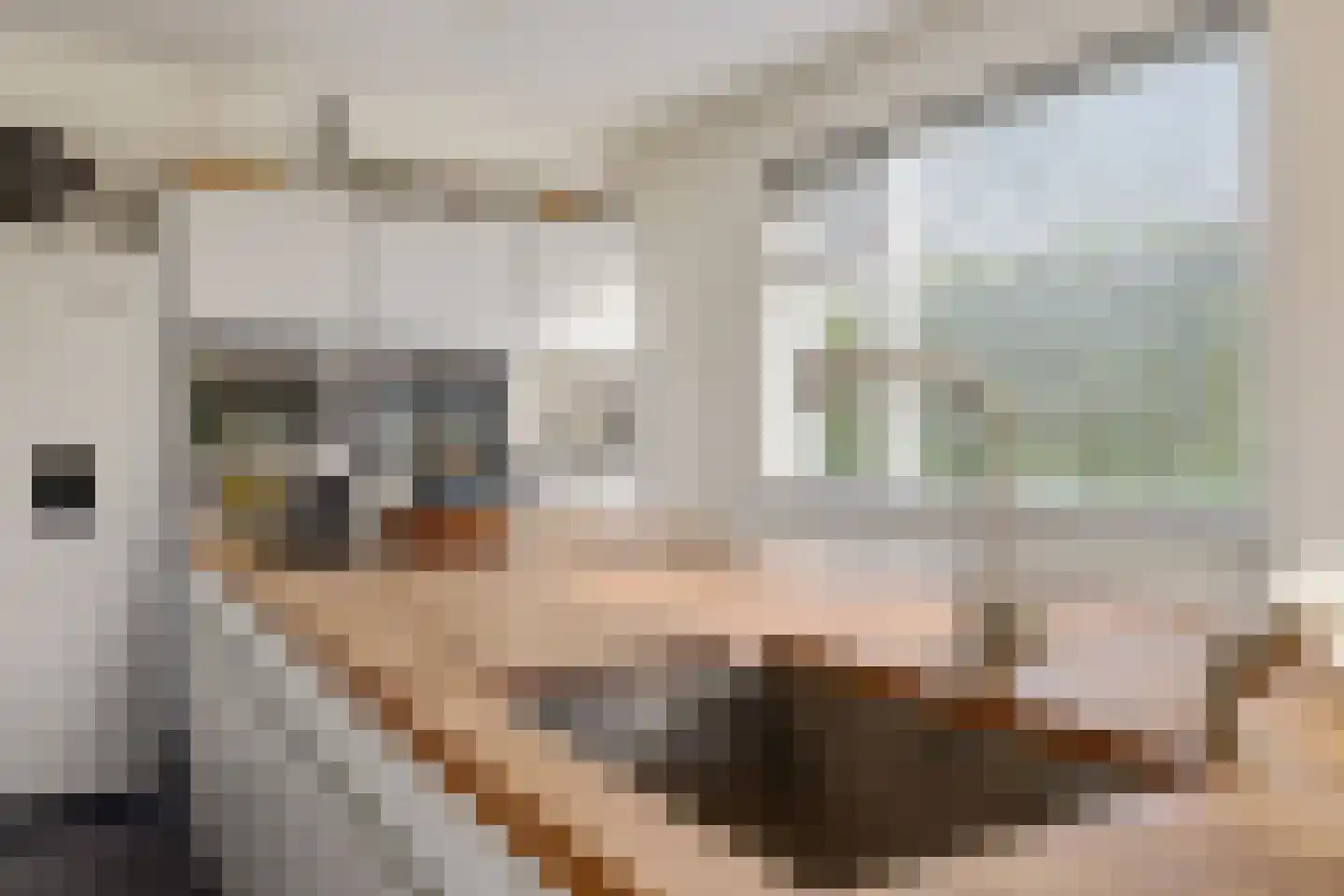 Paasduinweg 6 Buren thumbnail 9