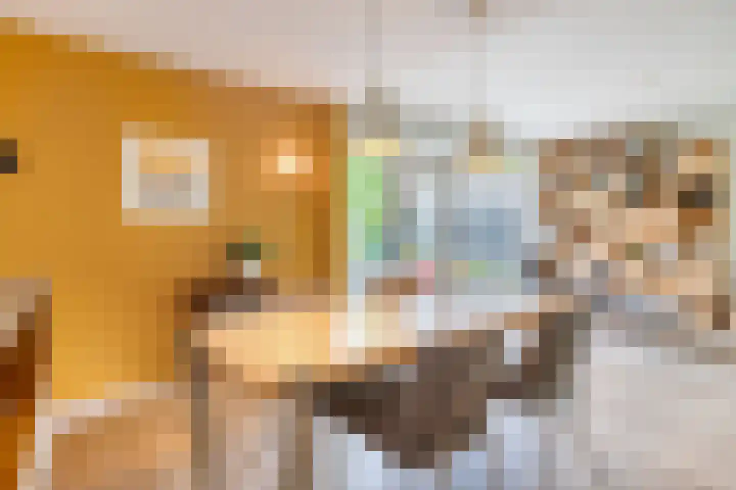 Paaskamp 1 Roden thumbnail 15