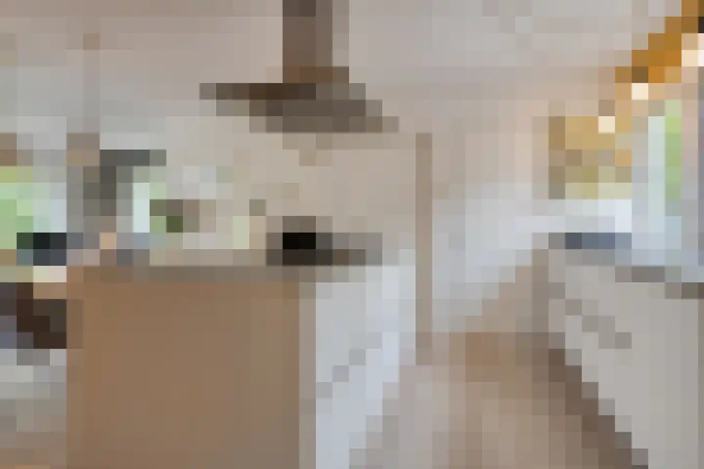 Paaskamp 1 Roden thumbnail 25
