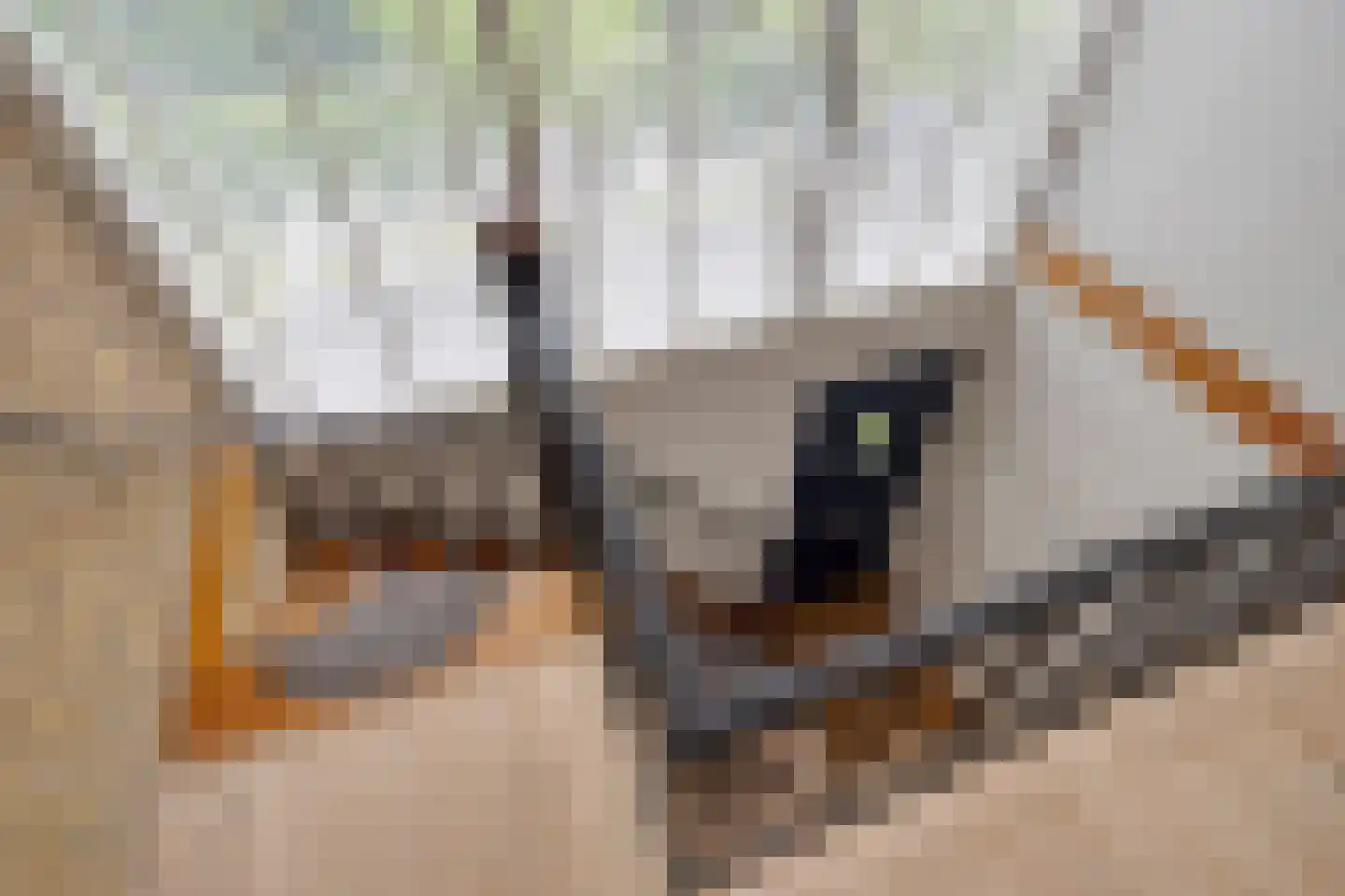 Paaskamp 1 Roden thumbnail 32