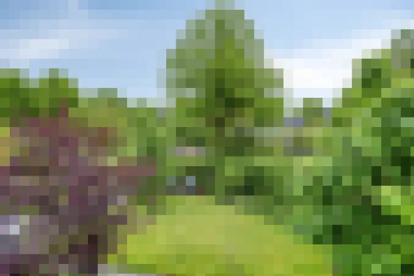 Paaskamp 1 Roden thumbnail 45