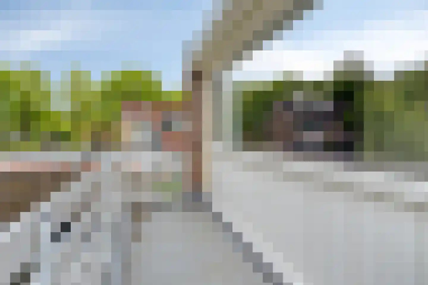 Paaskamp 1 Roden thumbnail 47