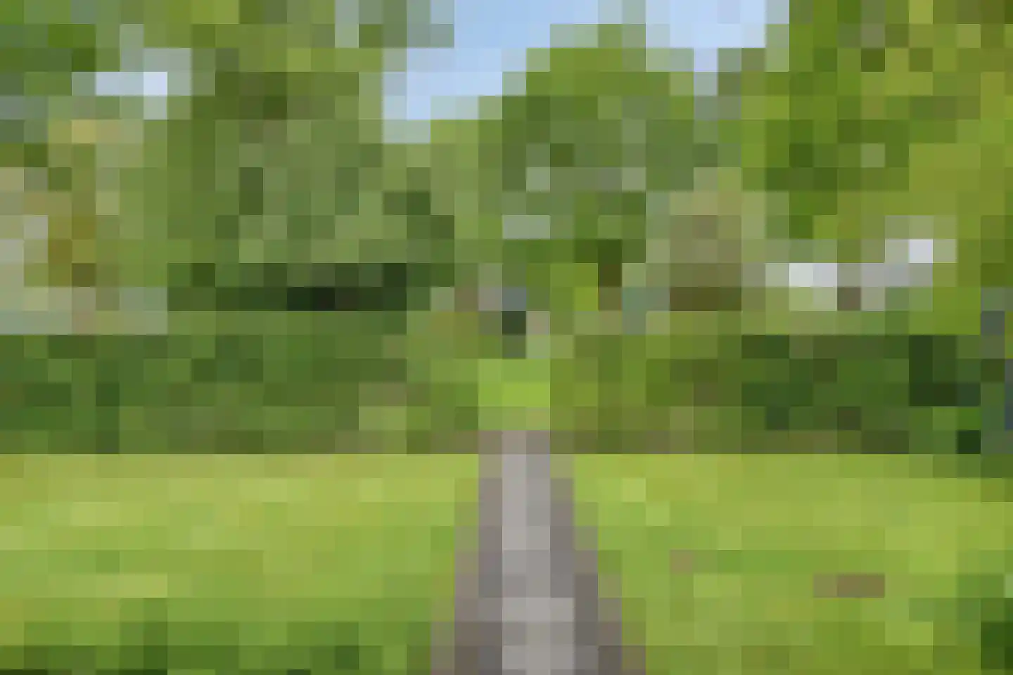 Paaskamp 1 Roden thumbnail 68