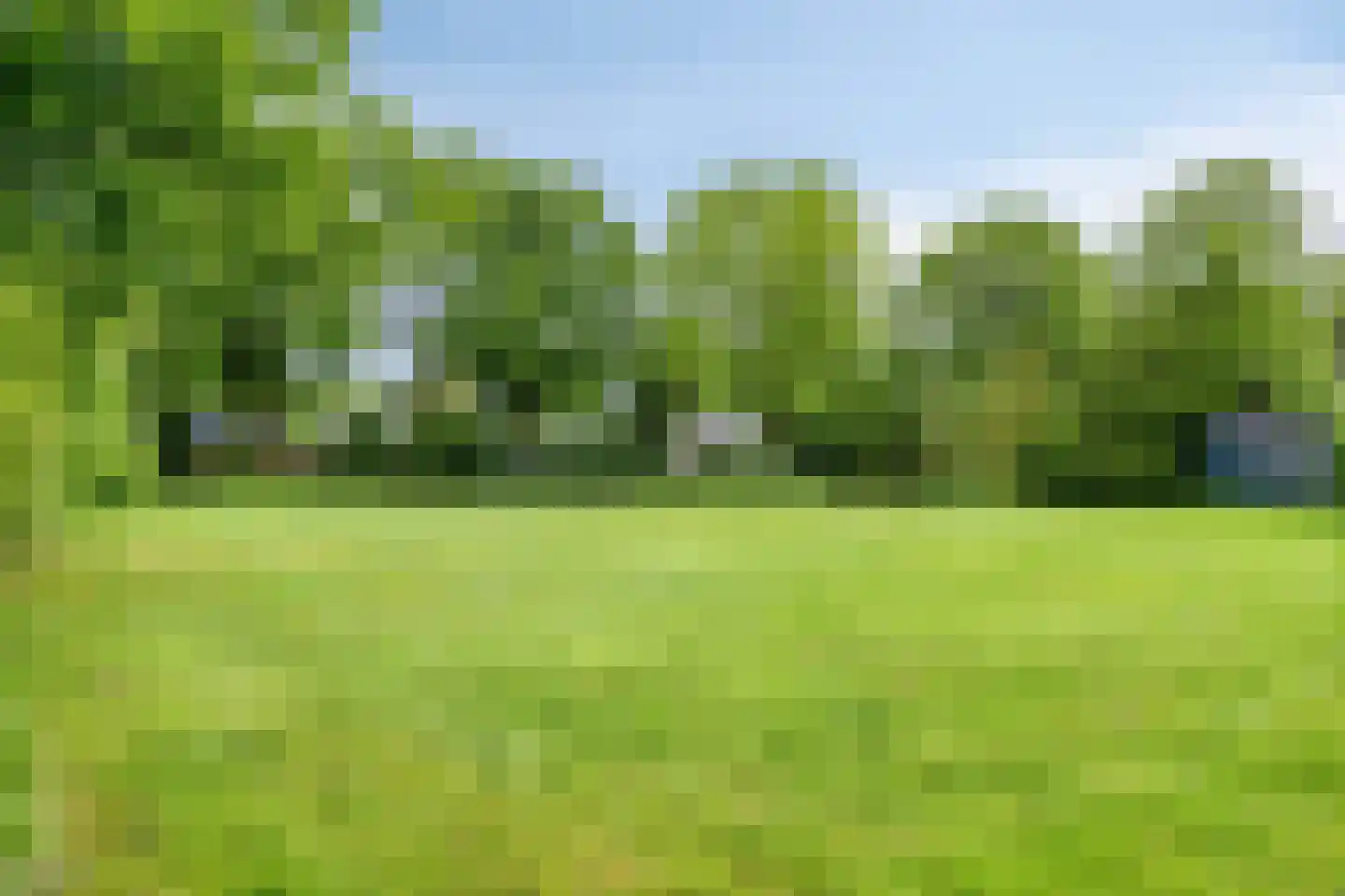 Paaskamp 1 Roden thumbnail 71