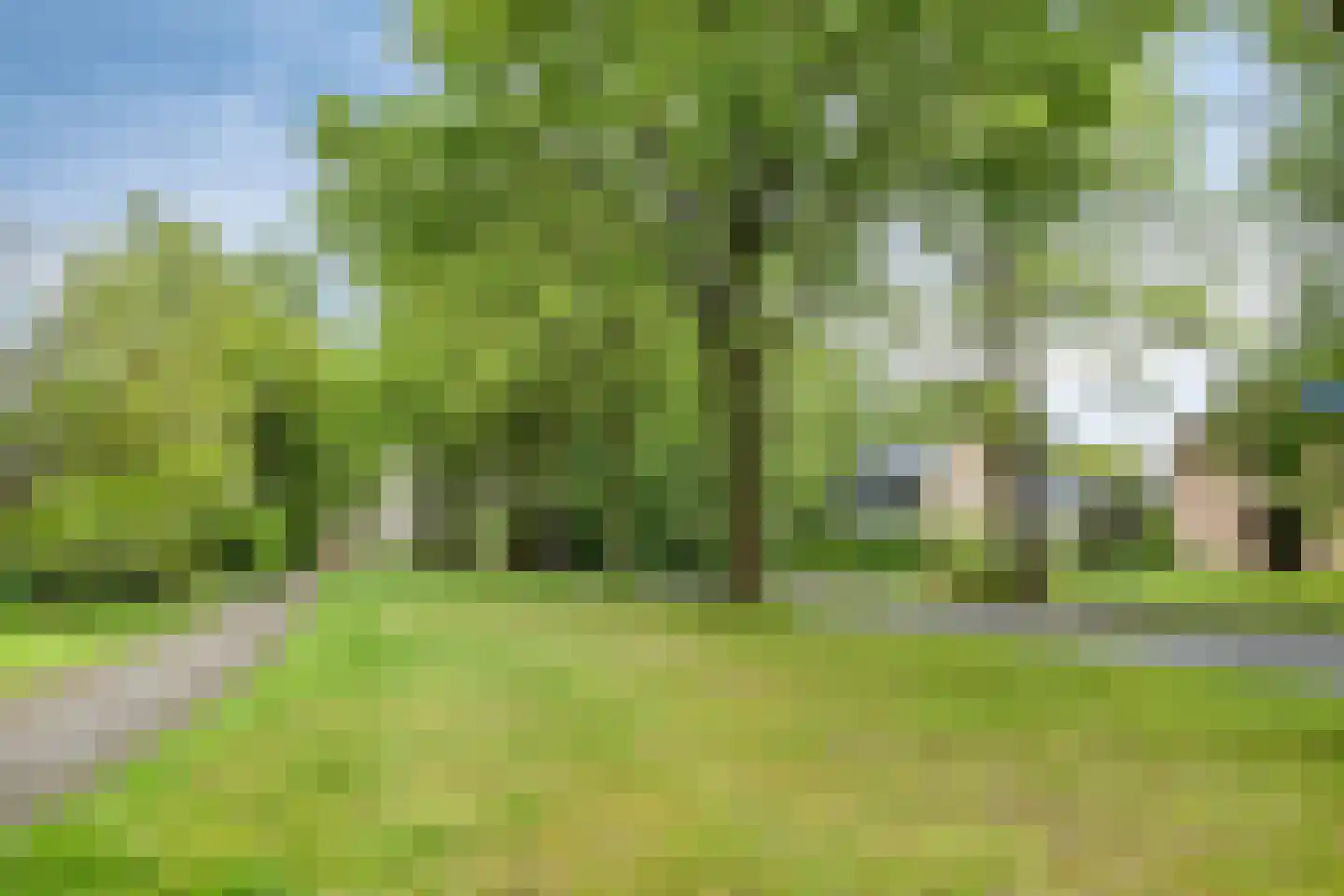 Paaskamp 1 Roden thumbnail 78