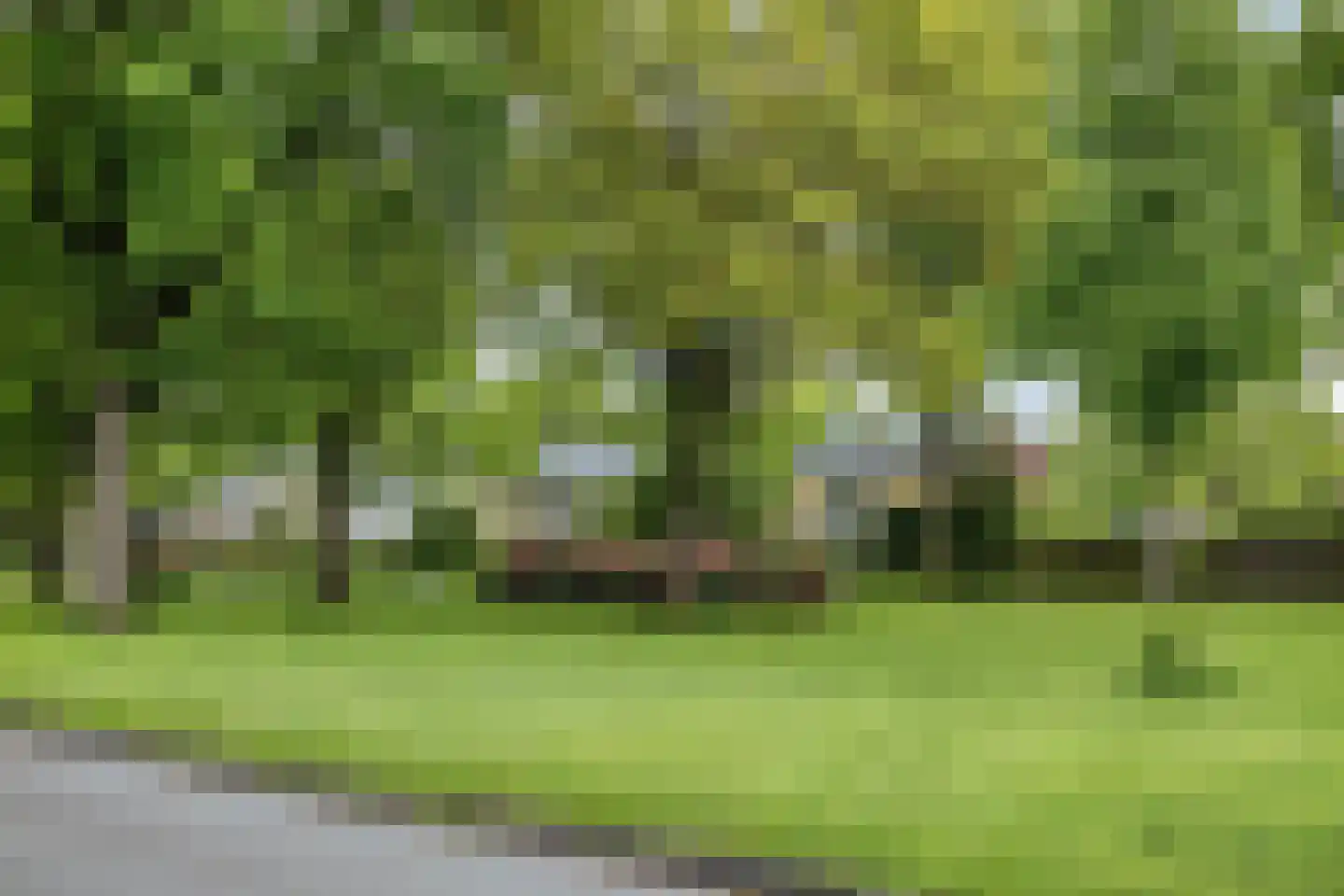 Paaskamp 1 Roden thumbnail 81
