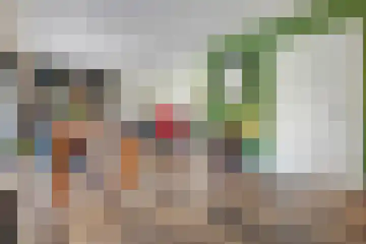 Paaskamp 13 Noordwolde thumbnail 19