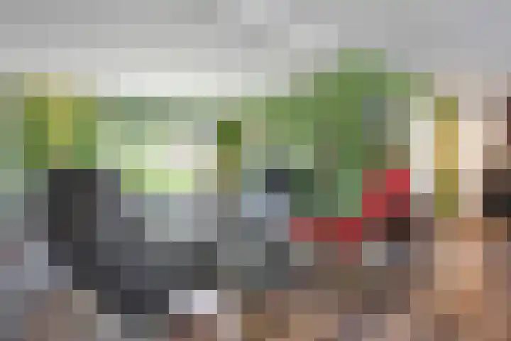 Paaskamp 13 Noordwolde thumbnail 20