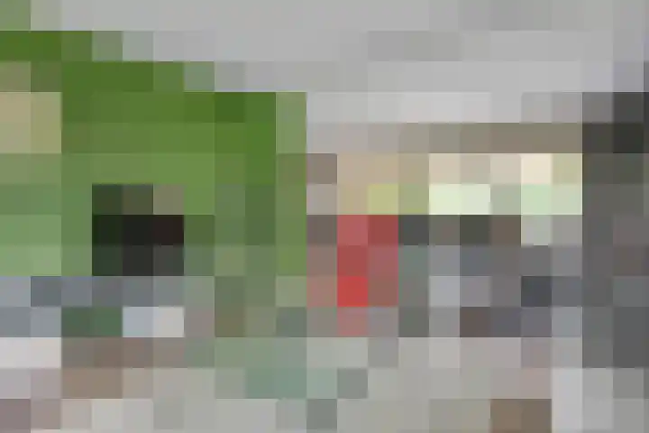 Paaskamp 13 Noordwolde thumbnail 21