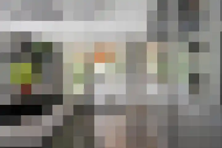 Paaskamp 13 Noordwolde thumbnail 25