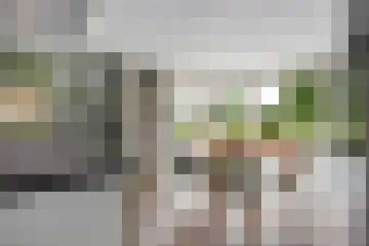 Paaskamp 13 Noordwolde thumbnail 26