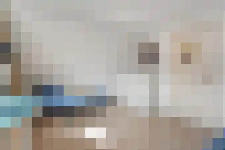 Paaskamp 13 Noordwolde thumbnail 36