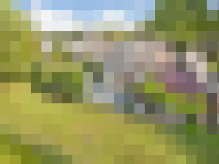 Paaskamp 13 Noordwolde thumbnail 45