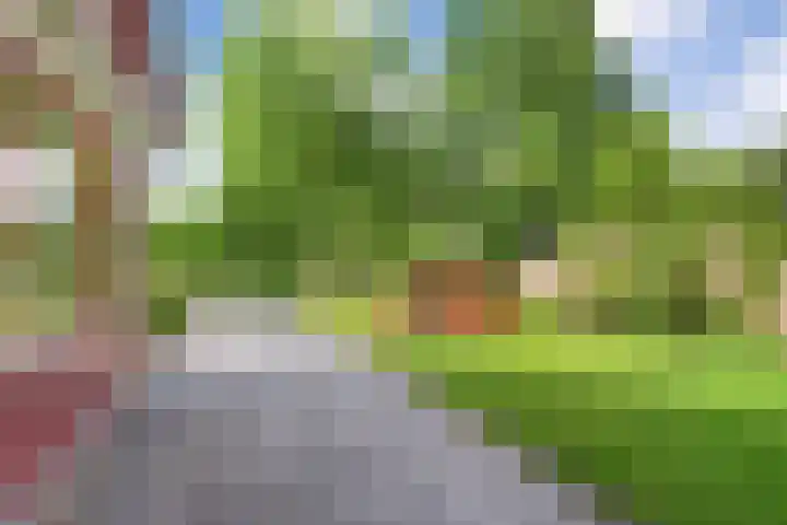 Paaskamp 13 Noordwolde thumbnail 48
