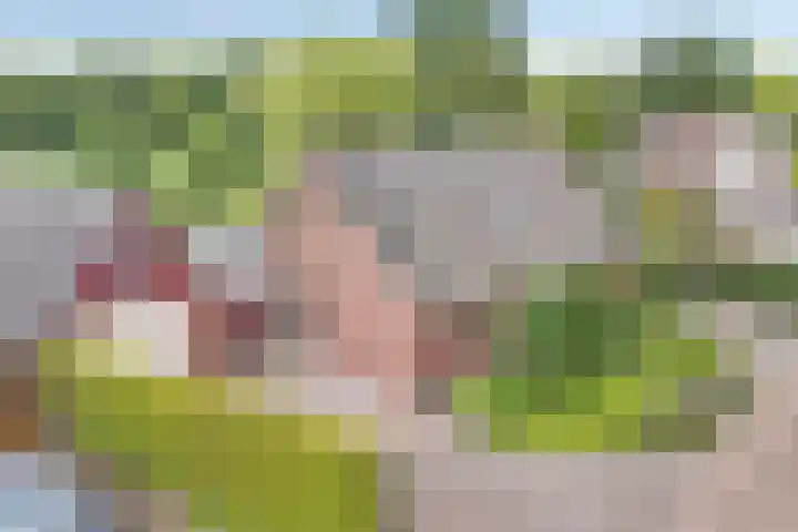Paaskamp 13 Noordwolde thumbnail 5