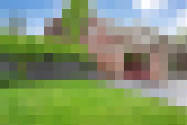 Paaskamp 13 Noordwolde thumbnail 53