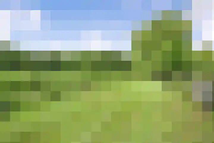 Paaskamp 13 Noordwolde thumbnail 55