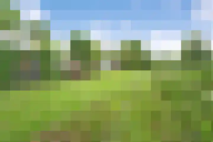 Paaskamp 13 Noordwolde thumbnail 56