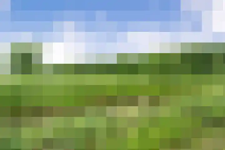 Paaskamp 13 Noordwolde thumbnail 57