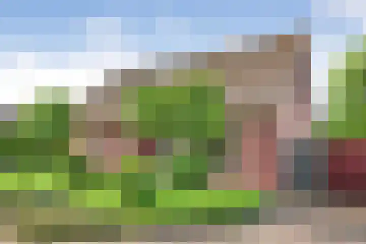 Paaskamp 13 Noordwolde thumbnail 6