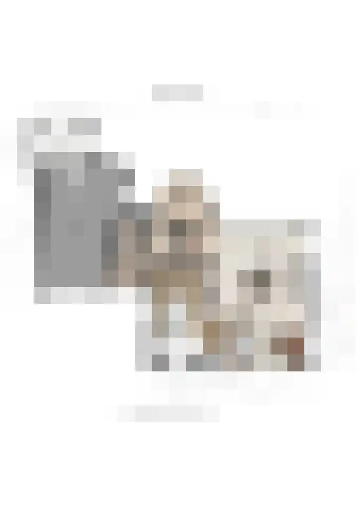 Paaskamp 13 Noordwolde thumbnail 62