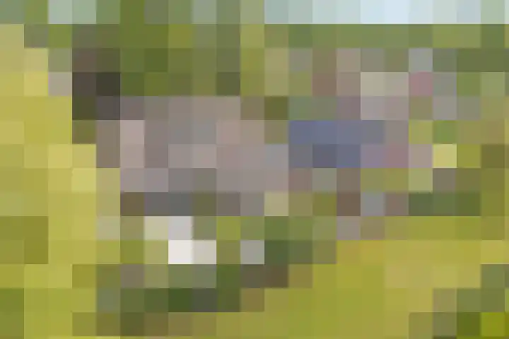 Paaskamp 13 Noordwolde thumbnail 65