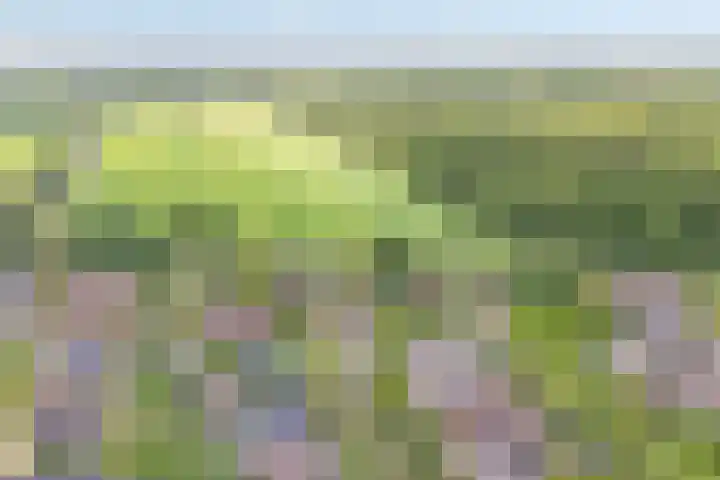 Paaskamp 13 Noordwolde thumbnail 7