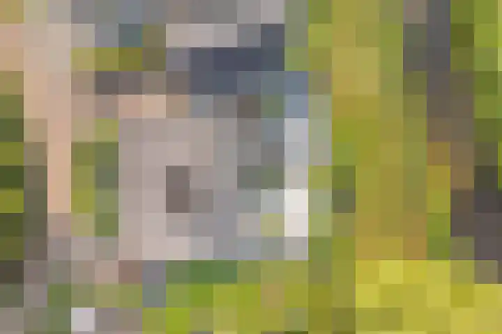 Paaskamp 13 Noordwolde thumbnail 8