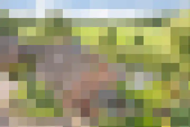 Paaskamp 13 Noordwolde thumbnail 9