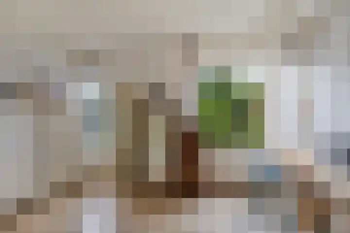 Paaskamp 17 Noordwolde thumbnail 30