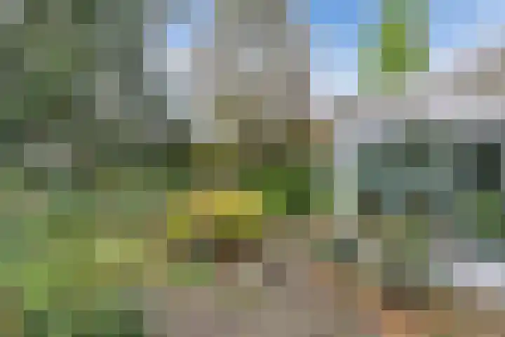 Paaskamp 17 Noordwolde thumbnail 41