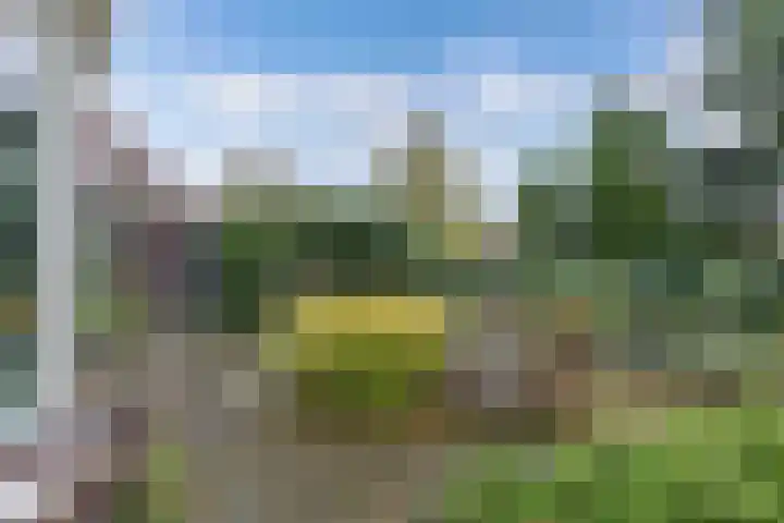 Paaskamp 17 Noordwolde thumbnail 42