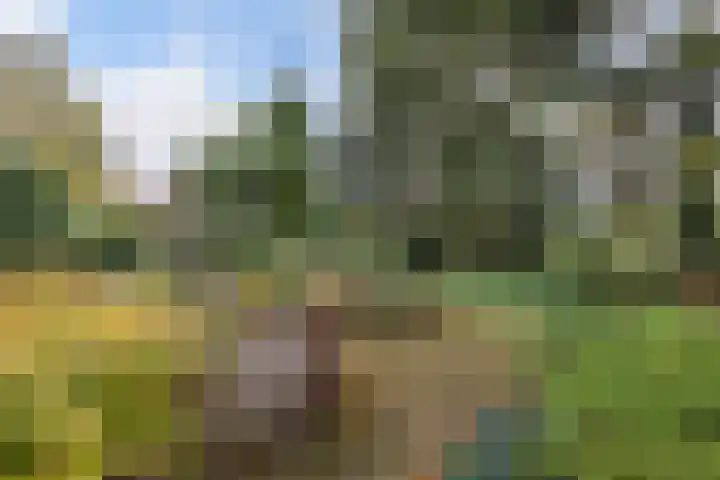 Paaskamp 17 Noordwolde thumbnail 43