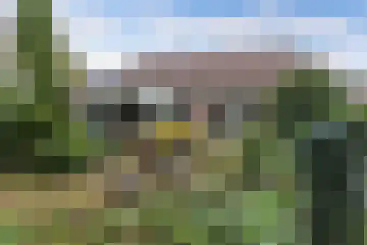 Paaskamp 17 Noordwolde thumbnail 44