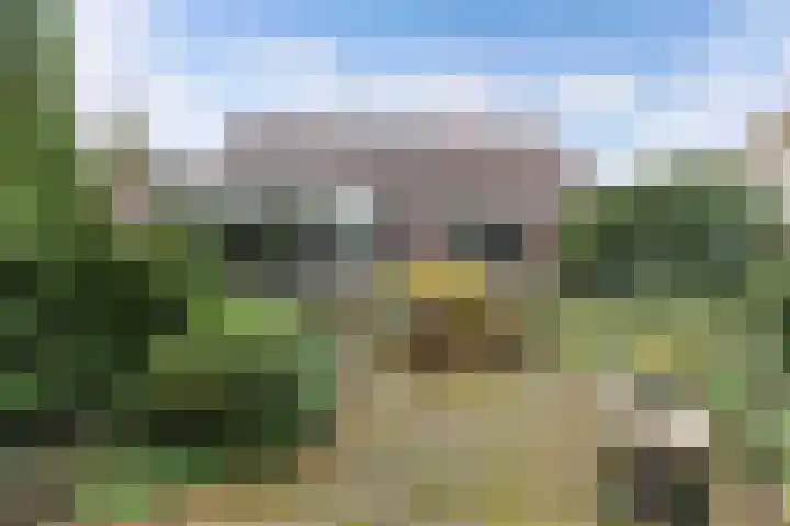Paaskamp 17 Noordwolde thumbnail 45