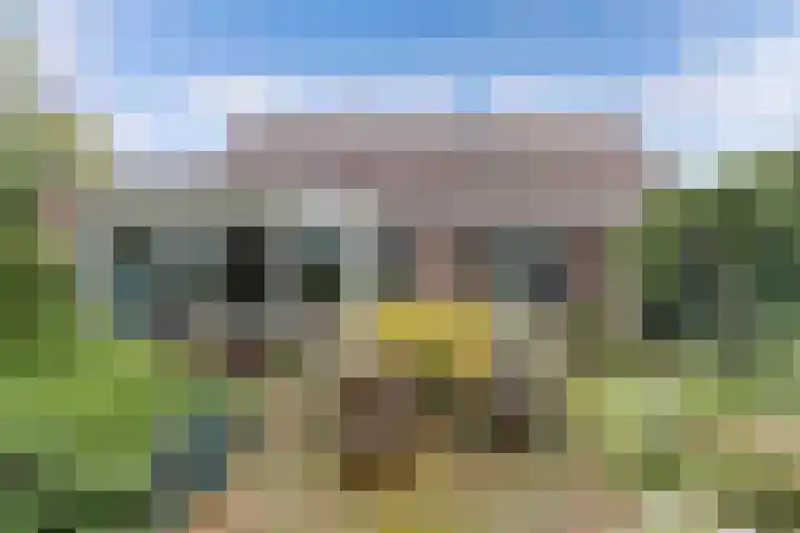 Paaskamp 17 Noordwolde thumbnail 46