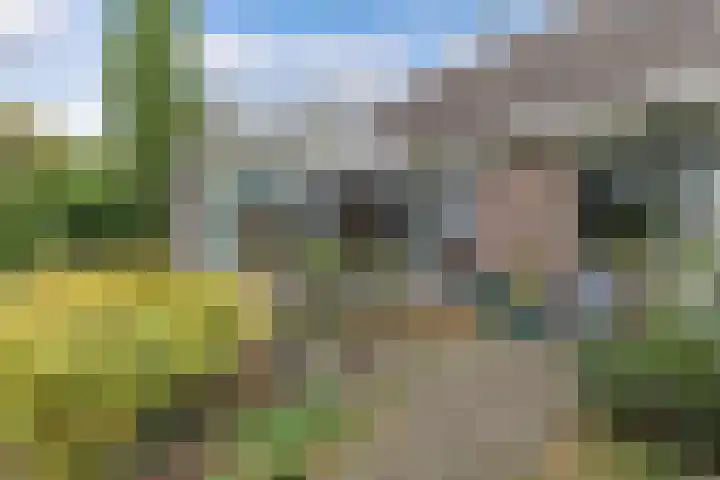 Paaskamp 17 Noordwolde thumbnail 47